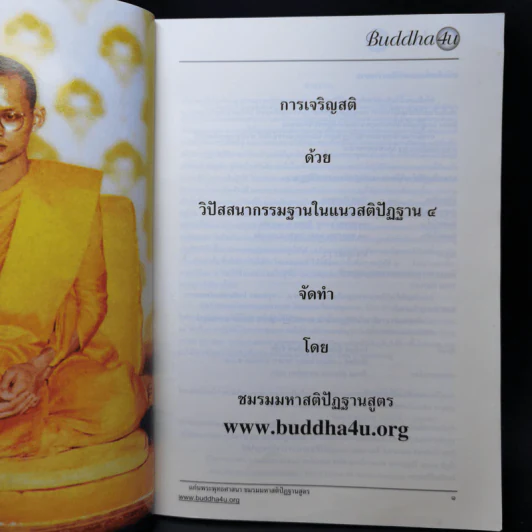 การเจริญสติด้วยวิปัสสนากรรมฐานในแนวสติปัฏฐาน 4 รูปที่ 8