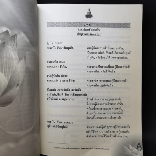 สวดมนต์แปลทำวัตรเช้า-เย็น รูปที่ 12