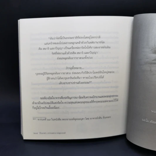 ข้ามเวลา...กราบแทบบาทพุทธองค์ - มณฑาทิพย์ คุณวัฒนา รูปที่ 13