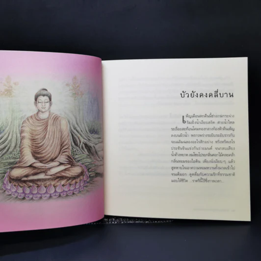 ข้ามเวลา...กราบแทบบาทพุทธองค์ - มณฑาทิพย์ คุณวัฒนา รูปที่ 12