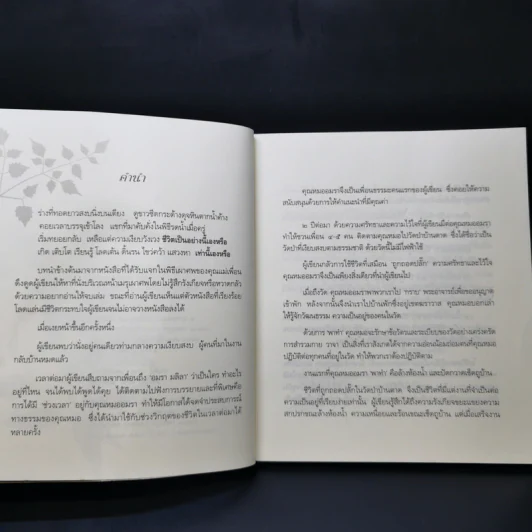 ธัมมะ ธรรมดา - อมรา มลิลา รูปที่ 9