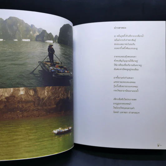เขียนแผ่นดิน สุวรรณภูมิ เวียดนาม - เนาวรัตน์ พงษ์ไพบูลย์ รูปที่ 14