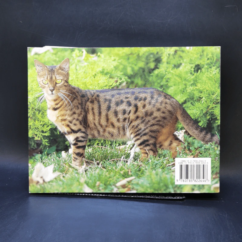 The Ultimate Guide to Cat Breeds - Louisa Somerville รูปที่ 2