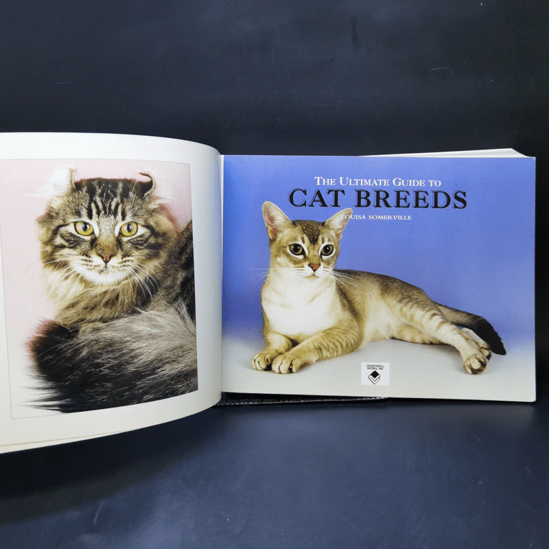 The Ultimate Guide to Cat Breeds - Louisa Somerville รูปที่ 8