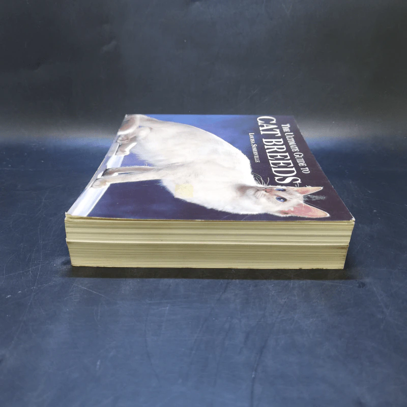 The Ultimate Guide to Cat Breeds - Louisa Somerville รูปที่ 5