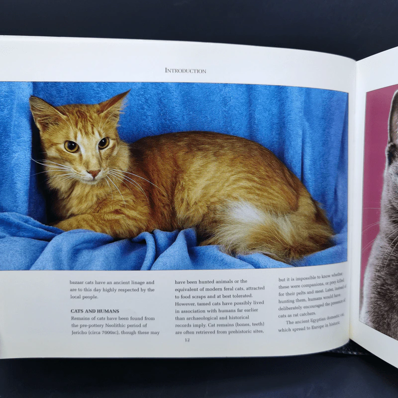 The Ultimate Guide to Cat Breeds - Louisa Somerville รูปที่ 11