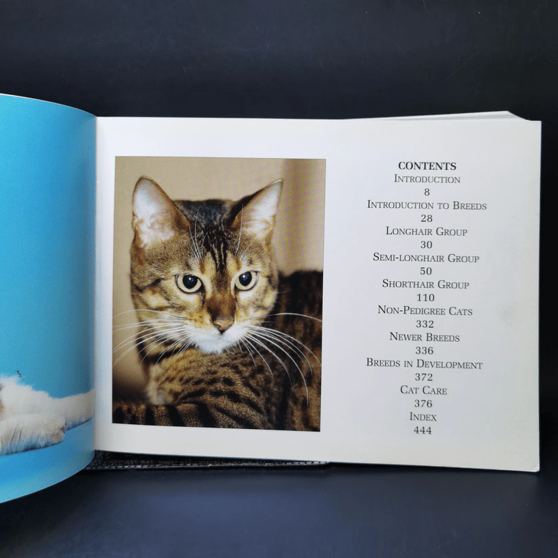 The Ultimate Guide to Cat Breeds - Louisa Somerville รูปที่ 9