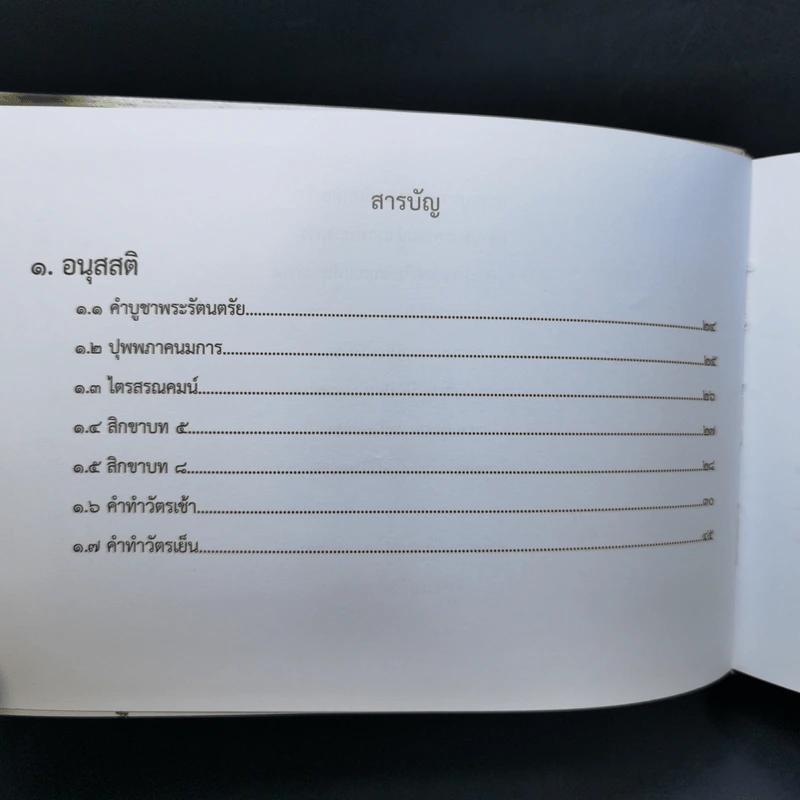 สวดธรรม - สุภีร์ ทุมทอง รูปที่ 11