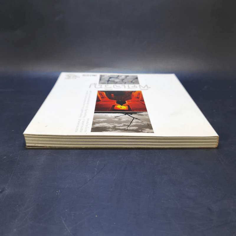 พิศเจริญ หนังสือภาพและอมตธรรมแห่งสองศรีพระศาสนา รูปที่ 6