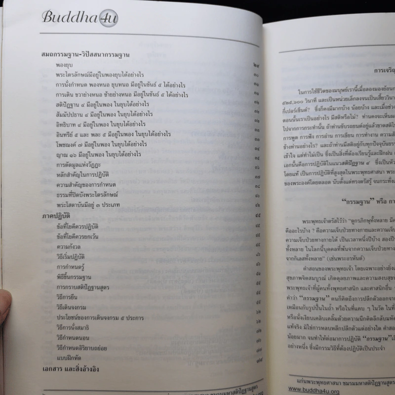 การเจริญสติด้วยวิปัสสนากรรมฐานในแนวสติปัฏฐาน 4 รูปที่ 12