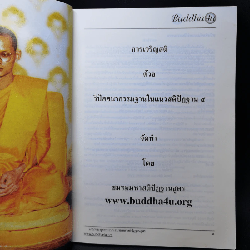 การเจริญสติด้วยวิปัสสนากรรมฐานในแนวสติปัฏฐาน 4 รูปที่ 8