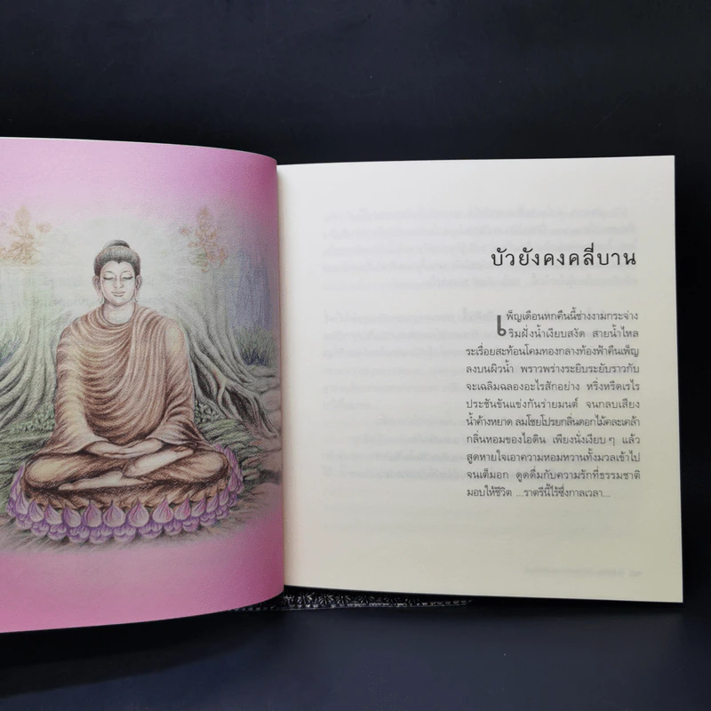 ข้ามเวลา...กราบแทบบาทพุทธองค์ - มณฑาทิพย์ คุณวัฒนา รูปที่ 12