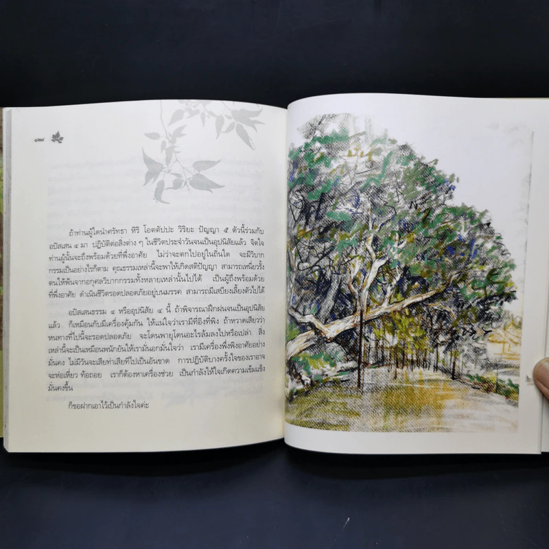 ธัมมะ ธรรมดา - อมรา มลิลา รูปที่ 12