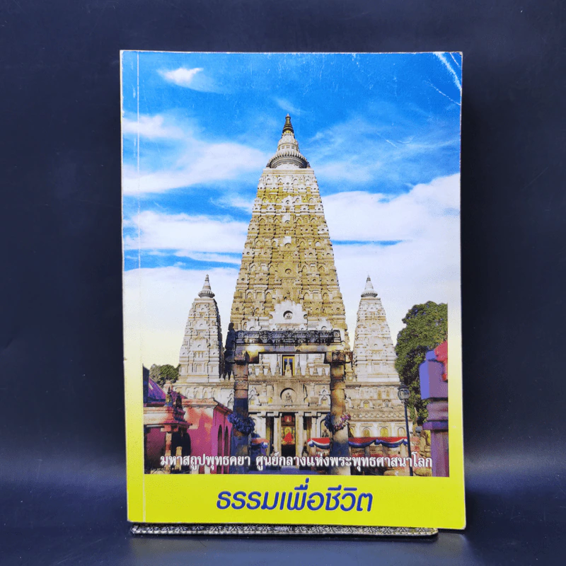 ธรรมเพื่อชีวิต รูปที่ 1