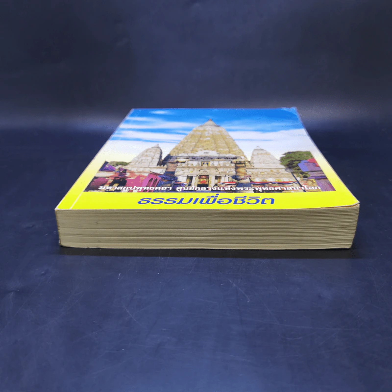 ธรรมเพื่อชีวิต รูปที่ 4