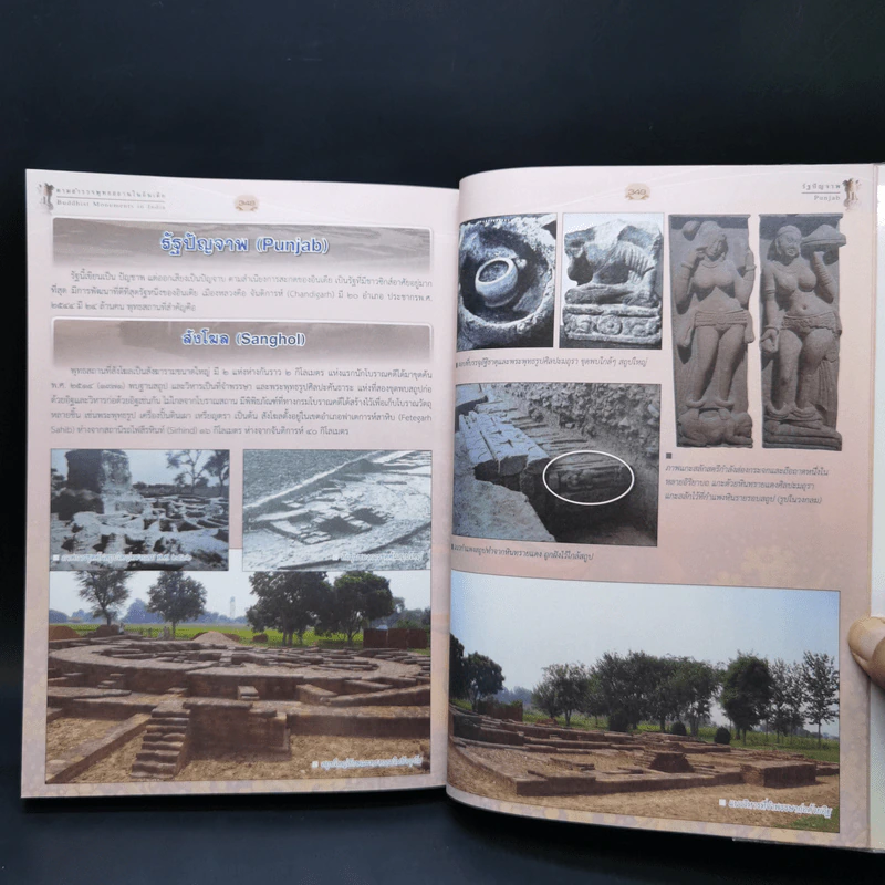 ตามสำรวจพุทธสถานในอินเดีย - พระมหาดาวสยาม วชิรปัญโญ, ดร. รูปที่ 14