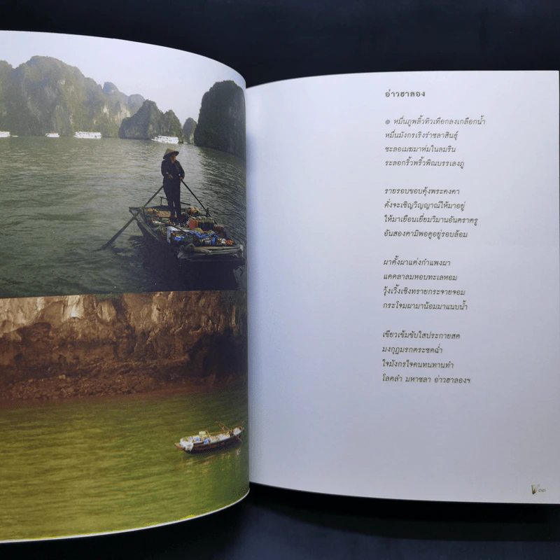 เขียนแผ่นดิน สุวรรณภูมิ เวียดนาม - เนาวรัตน์ พงษ์ไพบูลย์ รูปที่ 14
