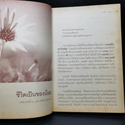 มรณสติในพระไตรปิฎก - อ.สุภีร์ ทุมทอง รูปที่ 10