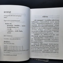 สู่แดนพุทธภูมิ - พันตรี รูปที่ 8