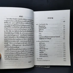สู่แดนพุทธภูมิ - พันตรี รูปที่ 9