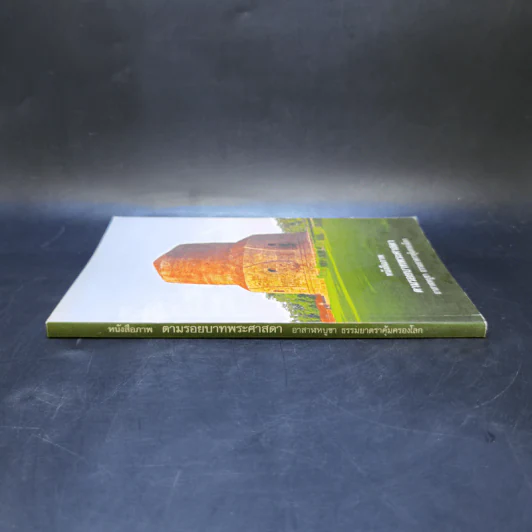หนังสือภาพ ตามรอยบาทพระศาสดา รูปที่ 3