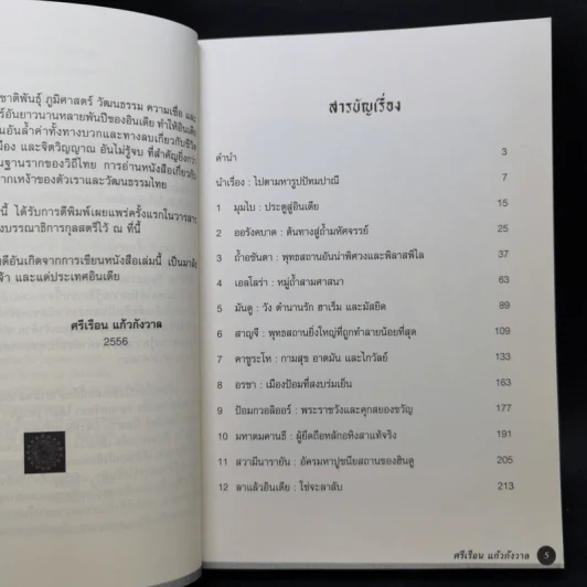 อินเดียใครว่าไม่น่าไป - ศรีเรือน แก้วกังวาล รูปที่ 9