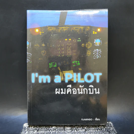 I'm a Pilot ผมคือนักบิน - Flamingo รูปที่ 1