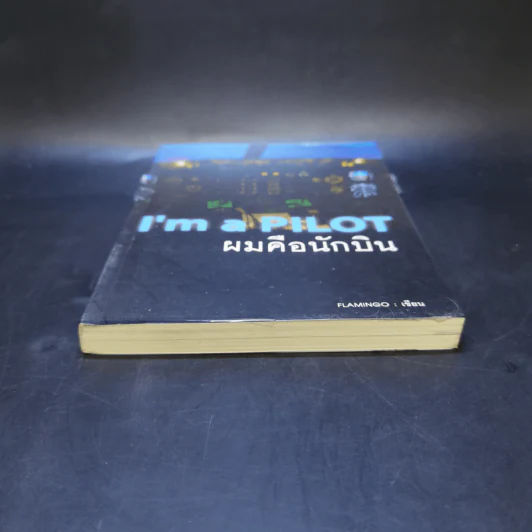 I'm a Pilot ผมคือนักบิน - Flamingo รูปที่ 4