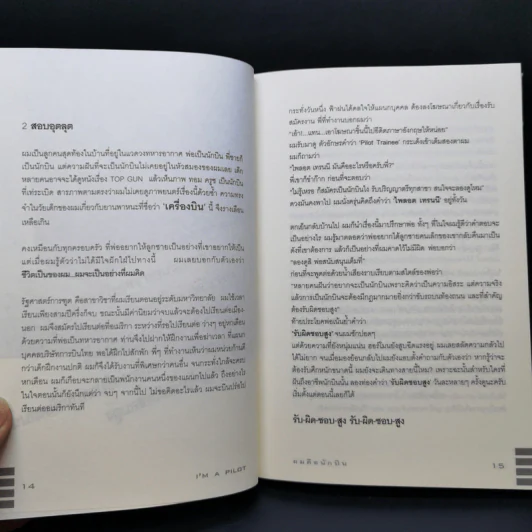 I'm a Pilot ผมคือนักบิน - Flamingo รูปที่ 10