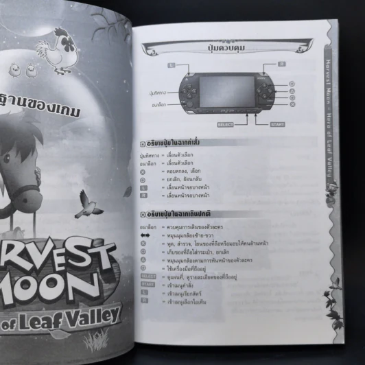 Harvest Moon Hero of Leaf Valley บทสรุปเฉลยเกม PSP รูปที่ 11