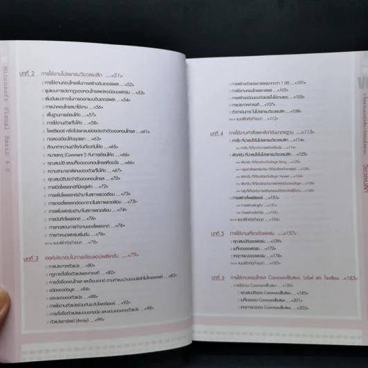 โปรแกรมเมอร์มือใหม่ หัดเขียนโปรแกรม Microsoft Visual Basic 6 Enterprise Edition รูปที่ 11