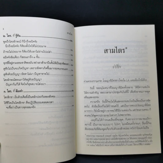 สามไตร - พระพรหมคุณาภรณ์ (ป.อ.ปยุตโต) รูปที่ 11
