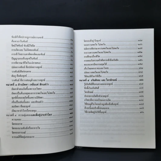 ทางลัดสู่สันติสุข - คณะศิษย์พระอาจารย์ชานนท์ รูปที่ 11
