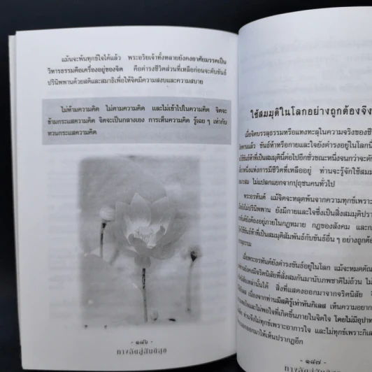 ทางลัดสู่สันติสุข - คณะศิษย์พระอาจารย์ชานนท์ รูปที่ 13