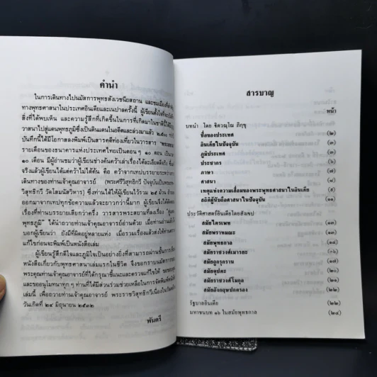สู่แดนพุทธภูมิ - พันตรี รูปที่ 9