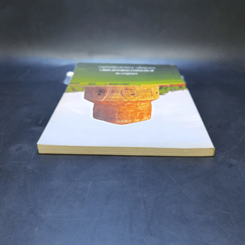 หนังสือภาพ ตามรอยบาทพระศาสดา รูปที่ 6