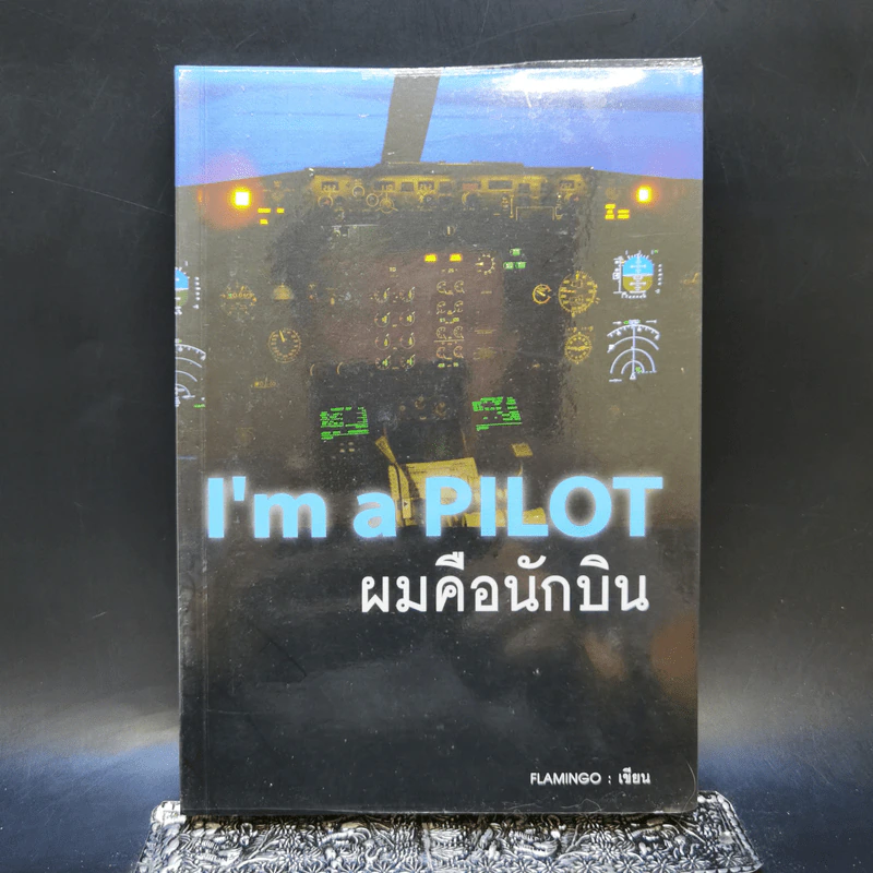 I'm a Pilot ผมคือนักบิน - Flamingo รูปที่ 1