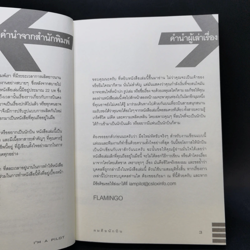 I'm a Pilot ผมคือนักบิน - Flamingo รูปที่ 9