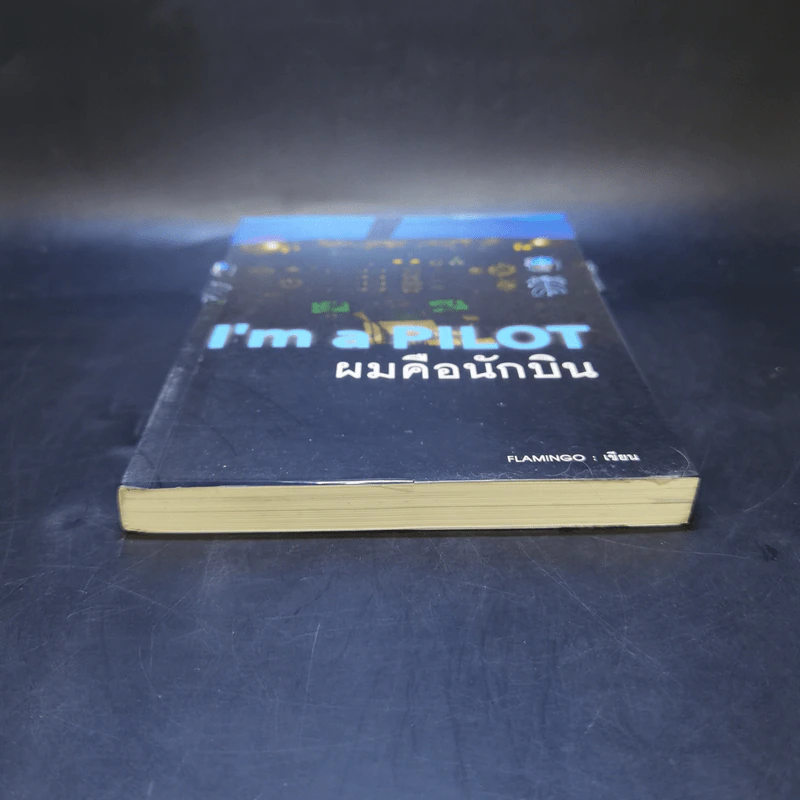 I'm a Pilot ผมคือนักบิน - Flamingo รูปที่ 4