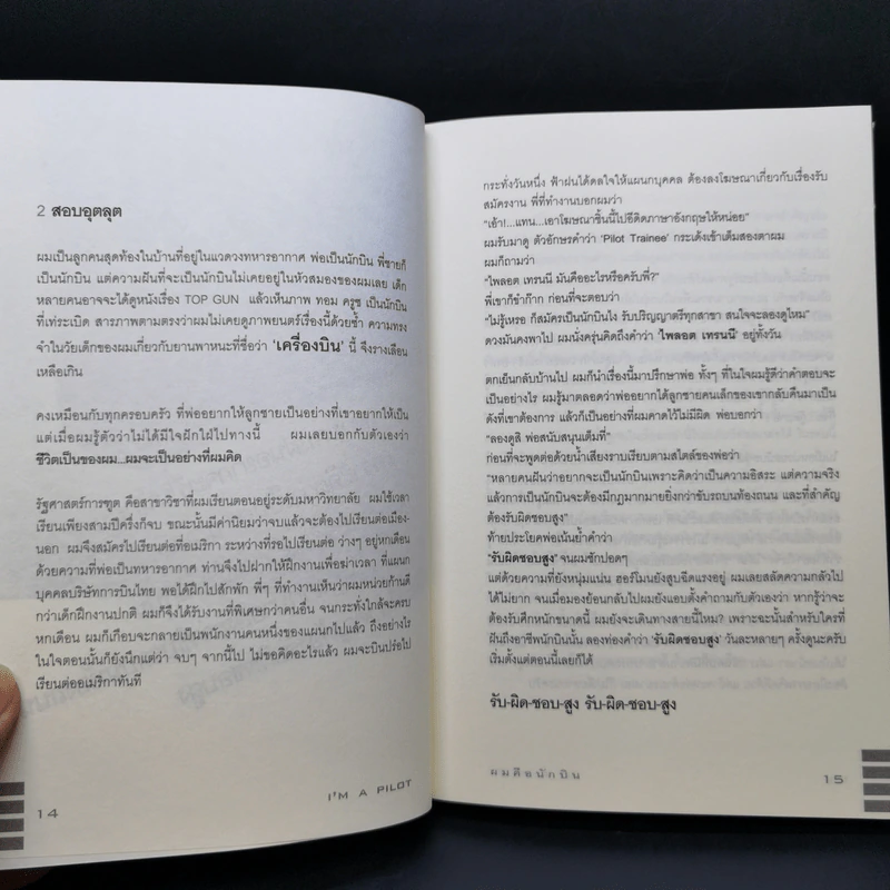 I'm a Pilot ผมคือนักบิน - Flamingo รูปที่ 10