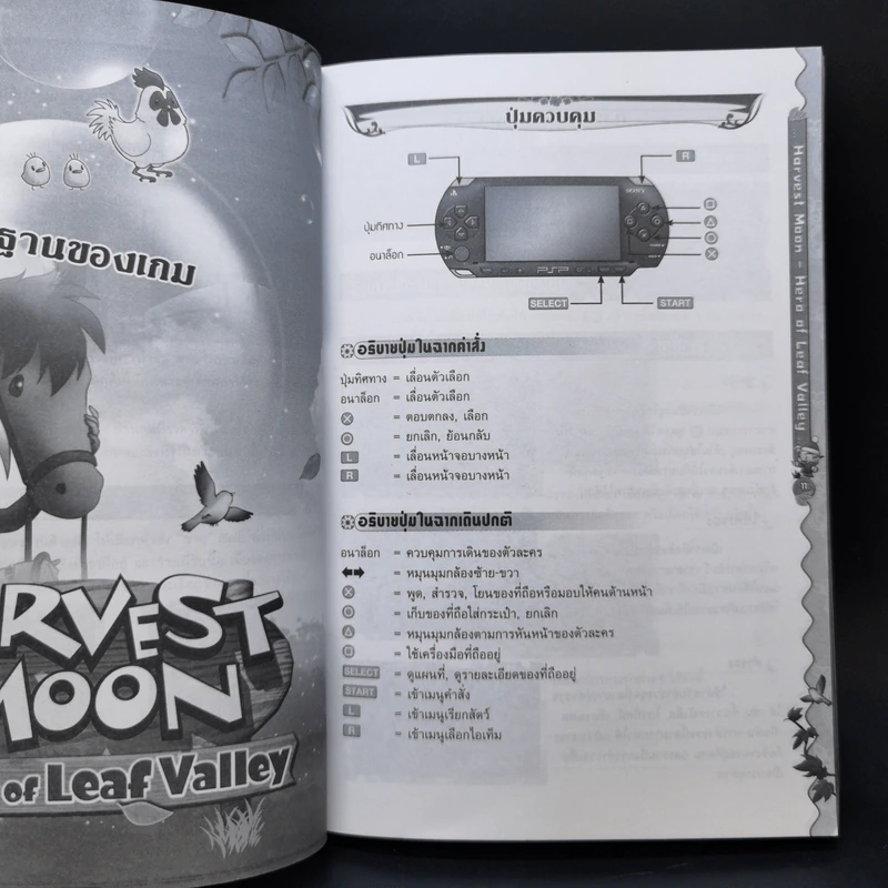 Harvest Moon Hero of Leaf Valley บทสรุปเฉลยเกม PSP รูปที่ 11