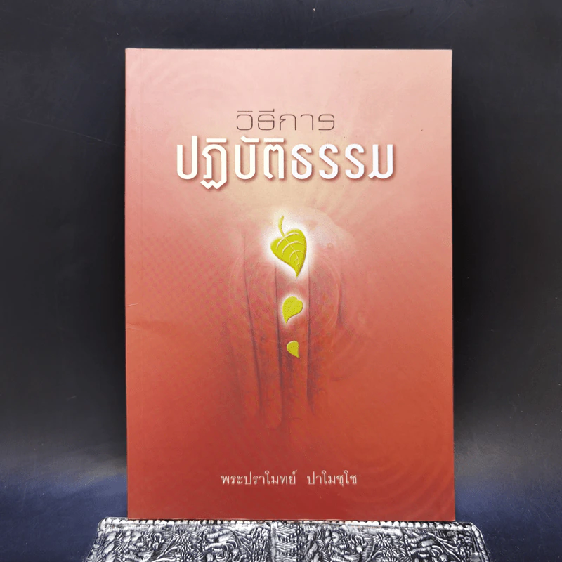 วิธีการปฏิบัติธรรม - พระปราโมทย์ ปาโมชโช รูปที่ 1