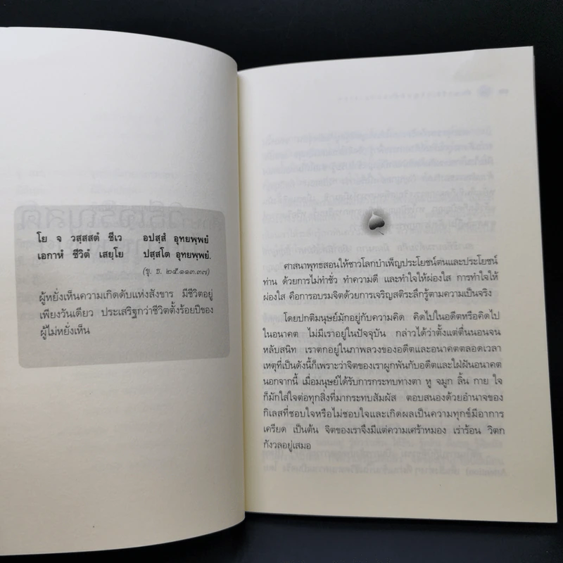 ศึกษาวิธีเจริญสติด้วยภาษาง่ายๆ - พระคันธสาราภิวงศ์ รูปที่ 10