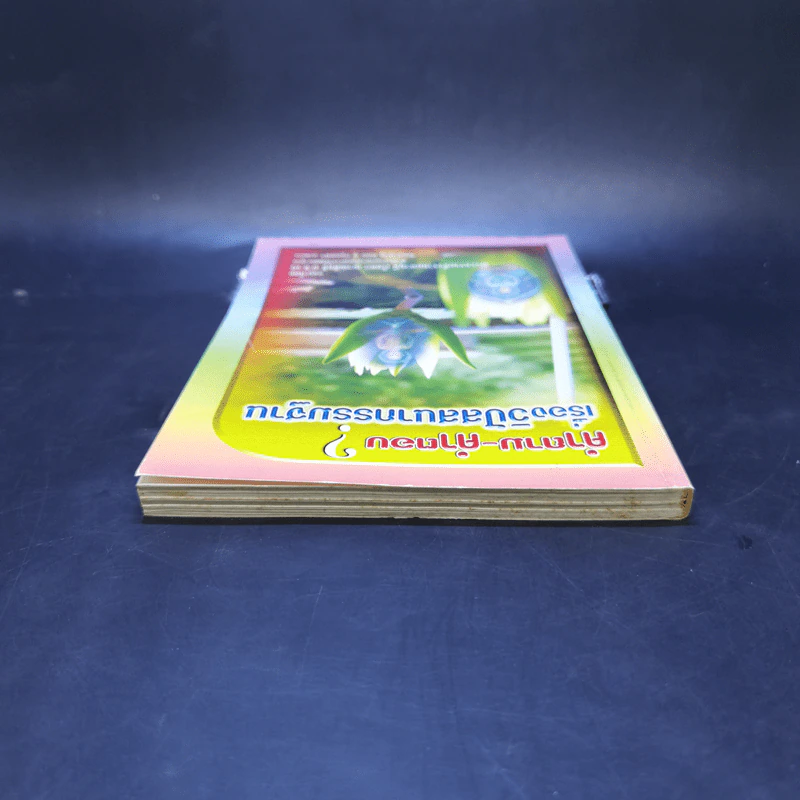 คำถาม-คำตอบ เรื่องวิปัสสนากรรมฐาน - พระธรรมธีรราชมหามุนี รูปที่ 6