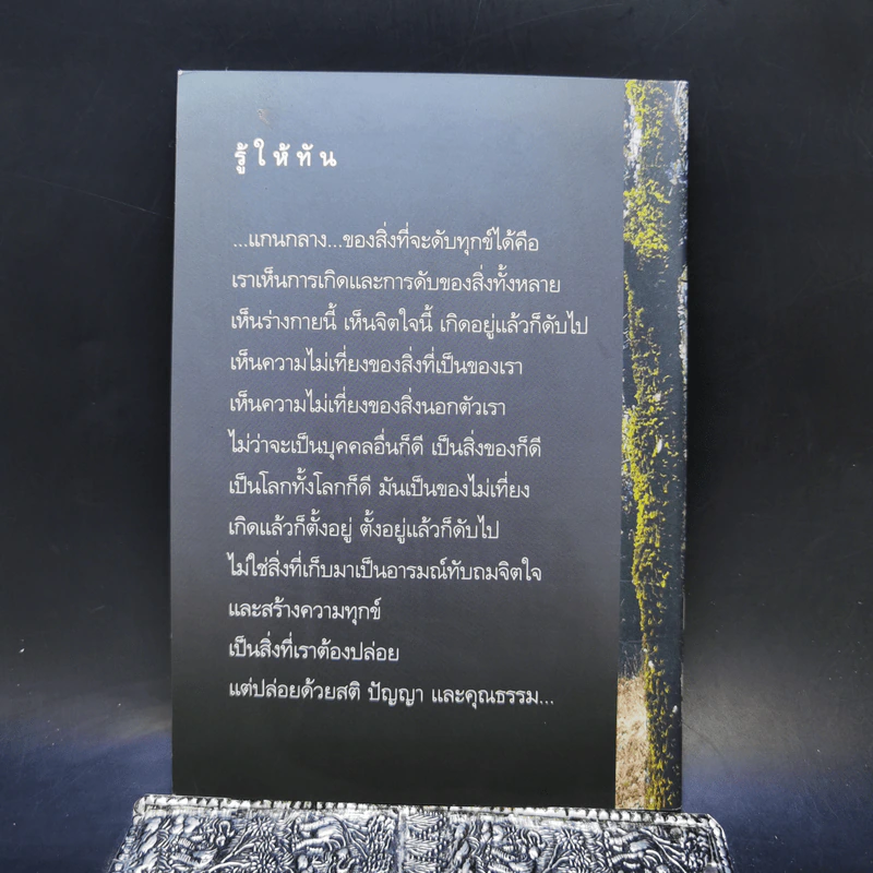 ทางแก้ทุกข์ - พระอาจารย์ปสันโน รูปที่ 2