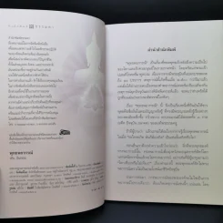 พุทธพยากรณ์ - วศิน อินทสระ รูปที่ 8