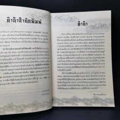 157 นิทานมังกร สอนสร้างตัวให้รวยเร็ว - วิชัย ตระกูลพัฒนกร รูปที่ 9