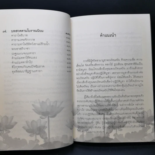 คู่มือไหว้พระพุทธคยา - พระเทพโพธิวิเทศ (วีรยุทโธ) รูปที่ 11