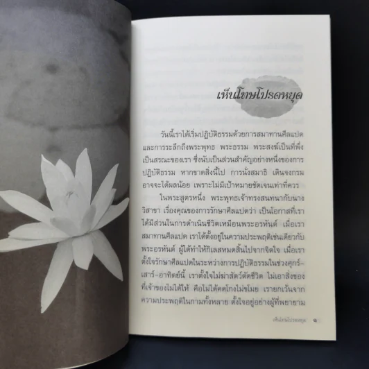 ไม่ลืม ไม่หลง - พระอาจารย์ปสันโน รูปที่ 9