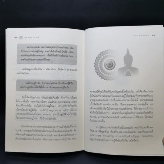 พุทธพยากรณ์ - วศิน อินทสระ รูปที่ 12